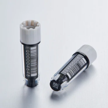 艾本德Eppendorf CryoStorage Vial，無(wú)菌, 無(wú)菌, 0.5 mL, 不含 DNase、RNase、人類 DNA 和內(nèi)毒素；外螺紋，預(yù)先加蓋灰色管蓋，帶 2D SafeCode 